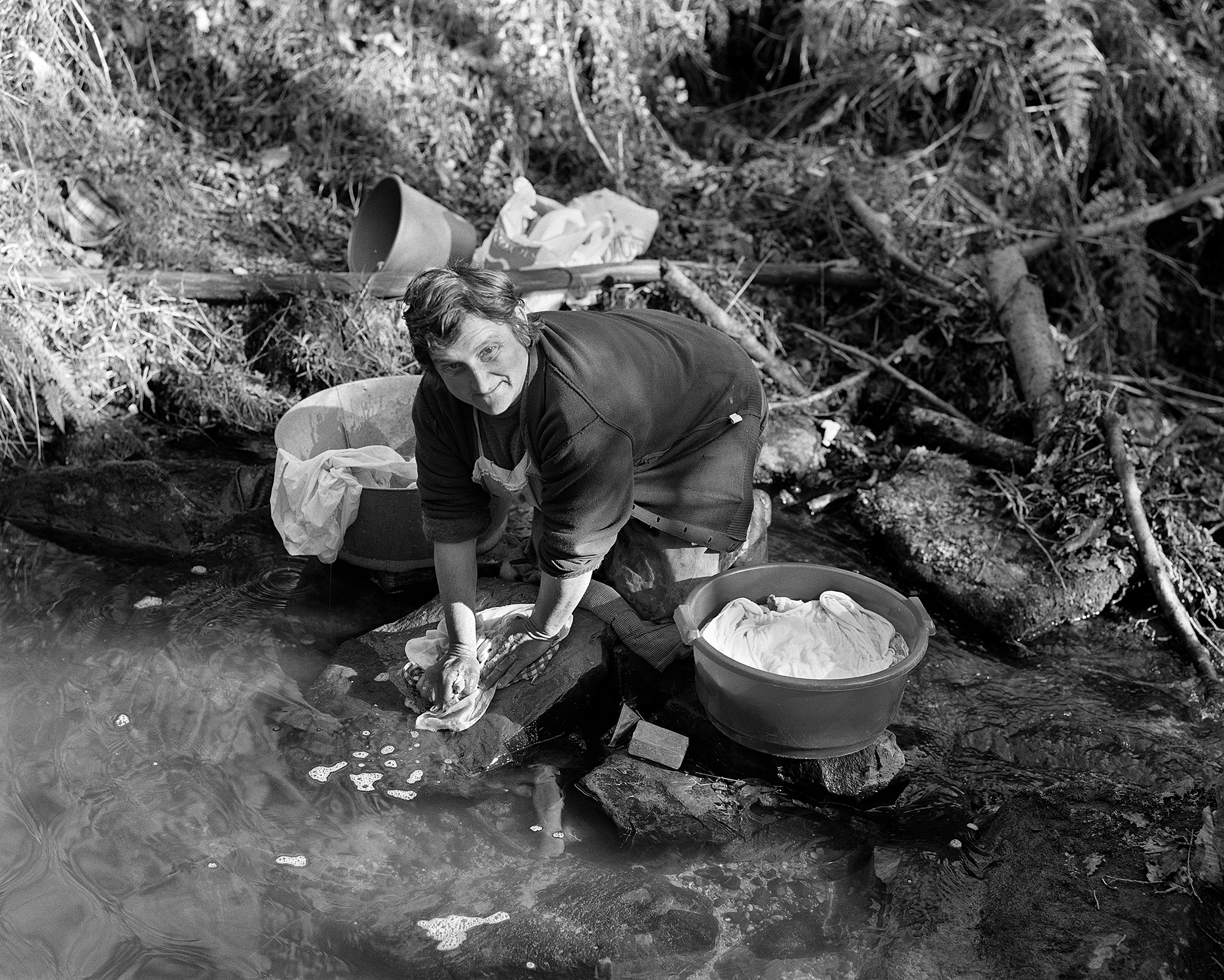 Fotografía sección Llamaellos